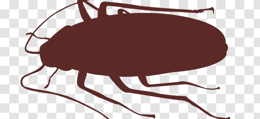 Cockroach Insect Vector Graphics Clip Art - Arthropod - Silhouette Transparent PNG