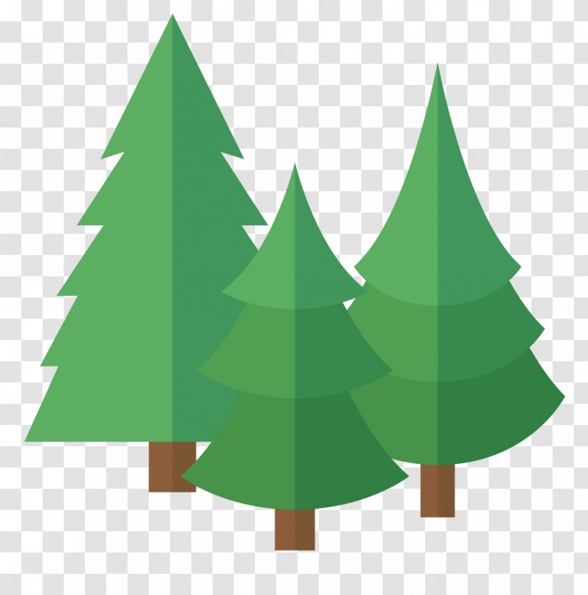 Fir Pine Christmas Tree Spruce - Conifer Transparent PNG