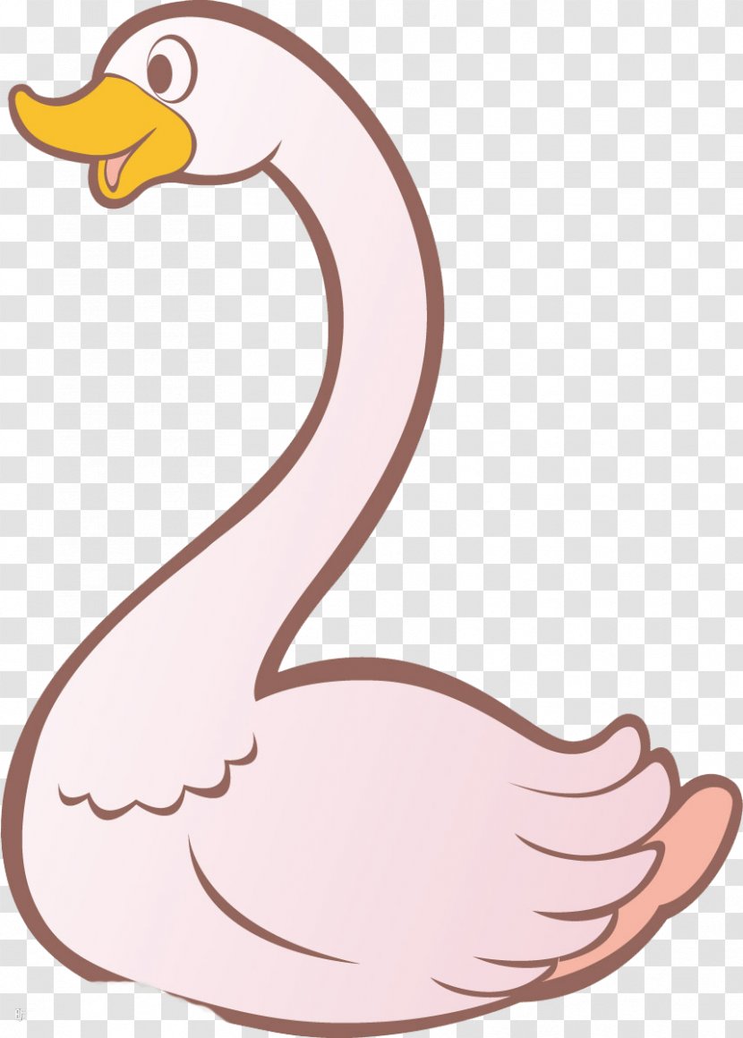 Swan Goose Tundra Black Cartoon - Silhouette - White Transparent PNG