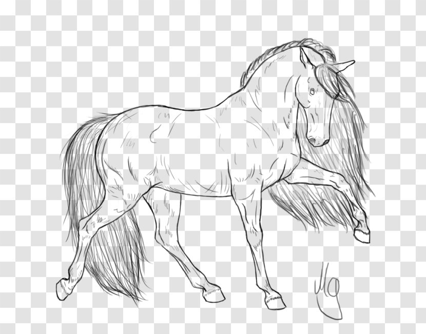 Standardbred Friesian Horse Pony Foal Coloring Book - Fictional Character - Head Transparent PNG