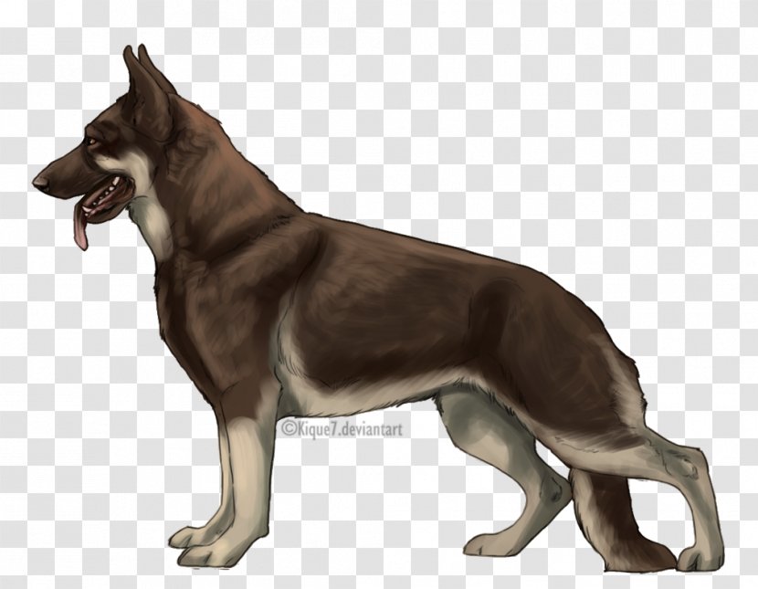 German Shepherd Tamaskan Dog East-European Breed Shiloh - Kunming Wolfdog - Golden Retriever Transparent PNG
