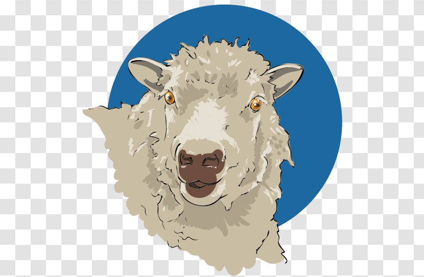 Goat Photography Drawing Merino Clip Art - Sheep Transparent PNG
