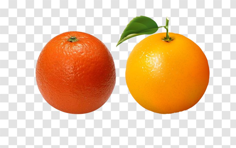 Clementine Blood Orange Mandarin - Delicious Image Material Transparent PNG