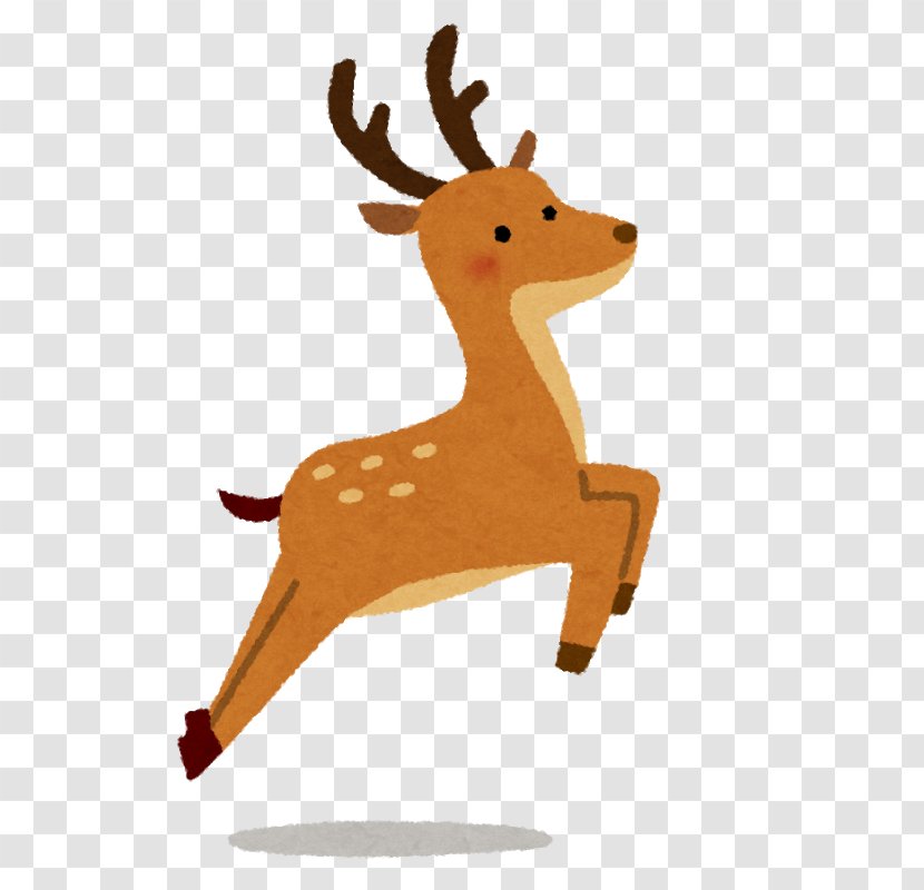 Deer Nara いらすとや North Korean Abductions Of Japanese Citizens Person - Animal Figure Transparent PNG