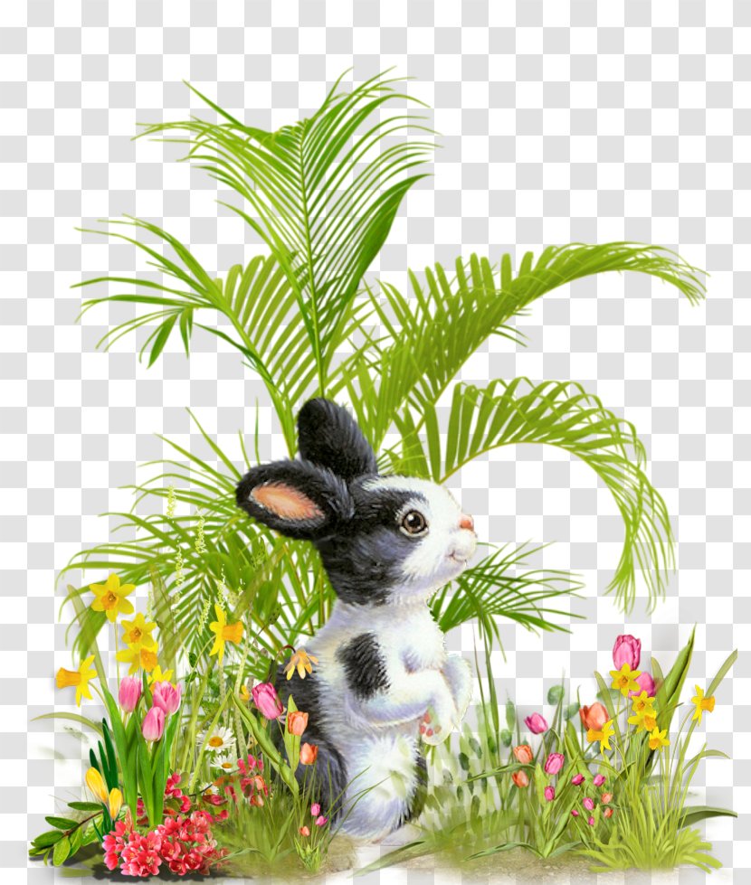 Palm Tree Background - Vine - Rabbits And Hares Transparent PNG