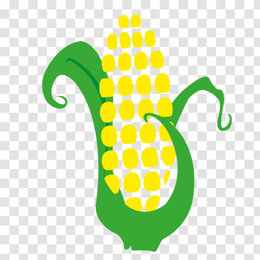 Maize Sowing Cereal Market Garden Food - Plantation - Corn On The Cob Drawing Transparent PNG