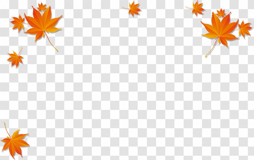 Maple Leaf Autumn Poster - Orange - Yellow Transparent PNG