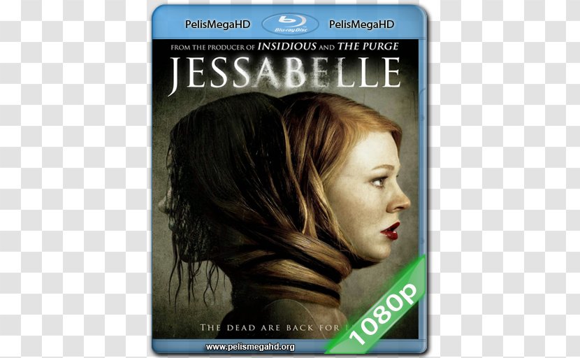 Jessabelle Kevin Greutert Blu-ray Disc Film Horror - Mark Webber Transparent PNG