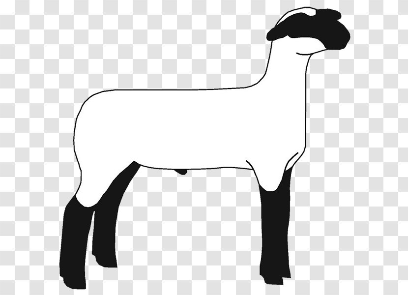 Suffolk Sheep Hampshire Clip Art Boer Goat Openclipart - White - Breeders Transparent PNG