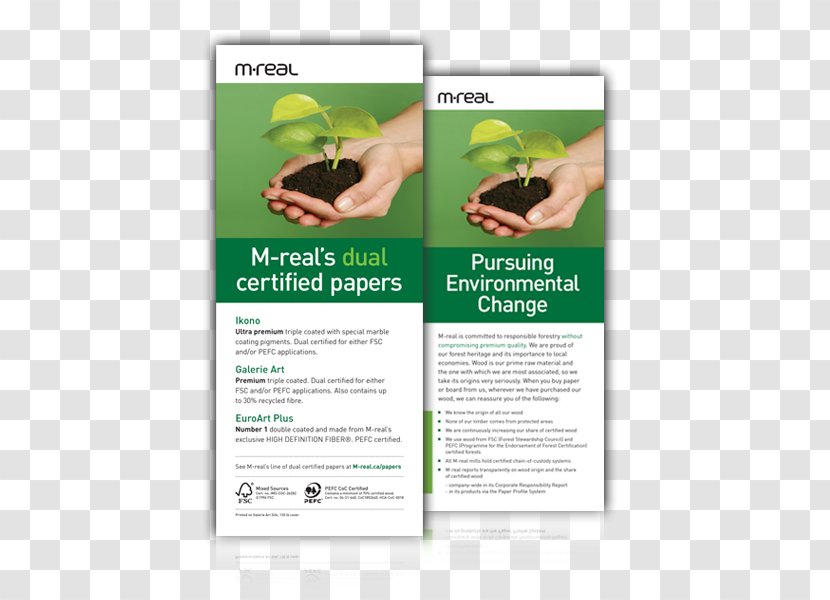Paper Advertising Canada - Multimedia - Creative Web Design Transparent PNG