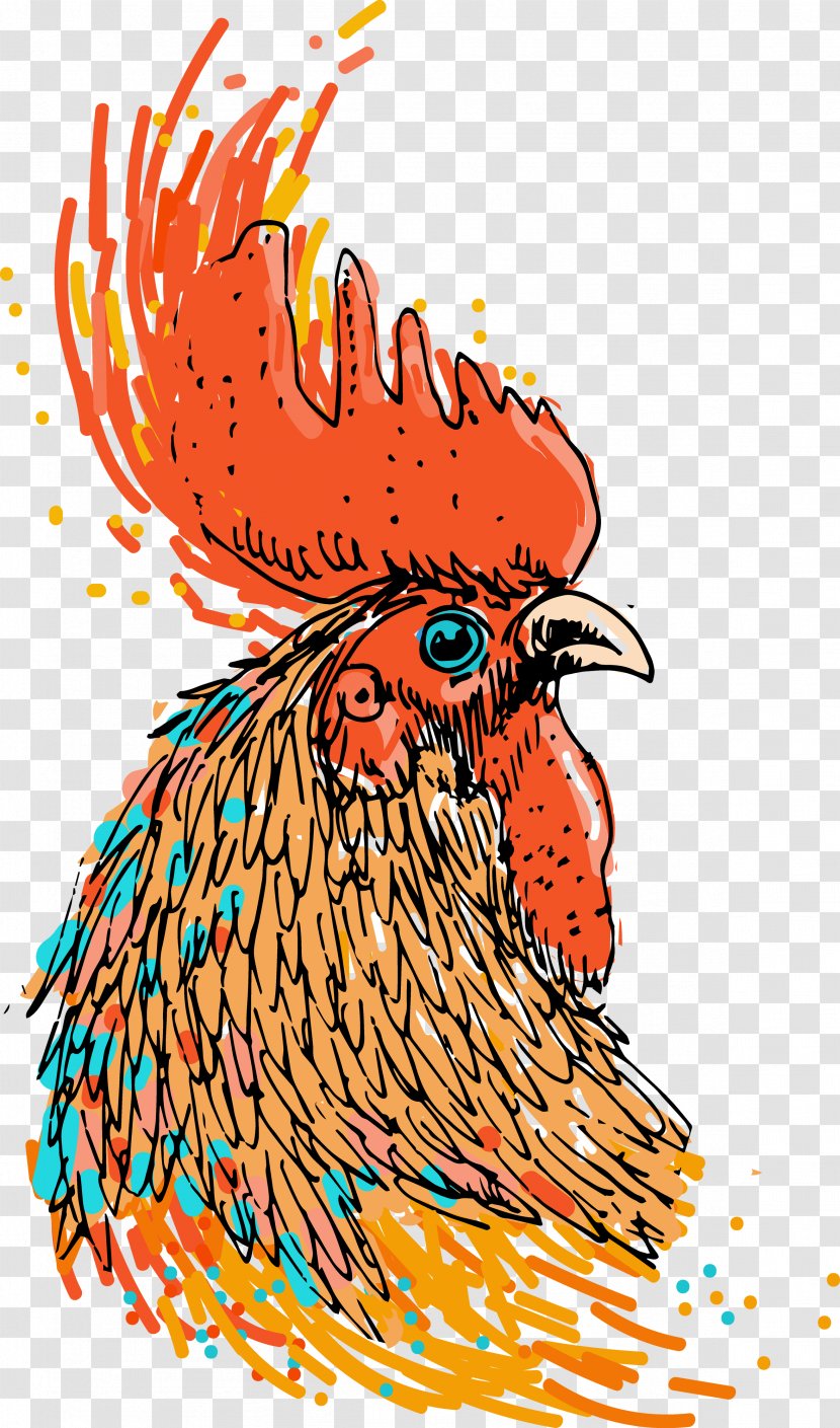 Chicken Illustration Vector Graphics Stock Photography Royalty-free - Phasianidae Transparent PNG