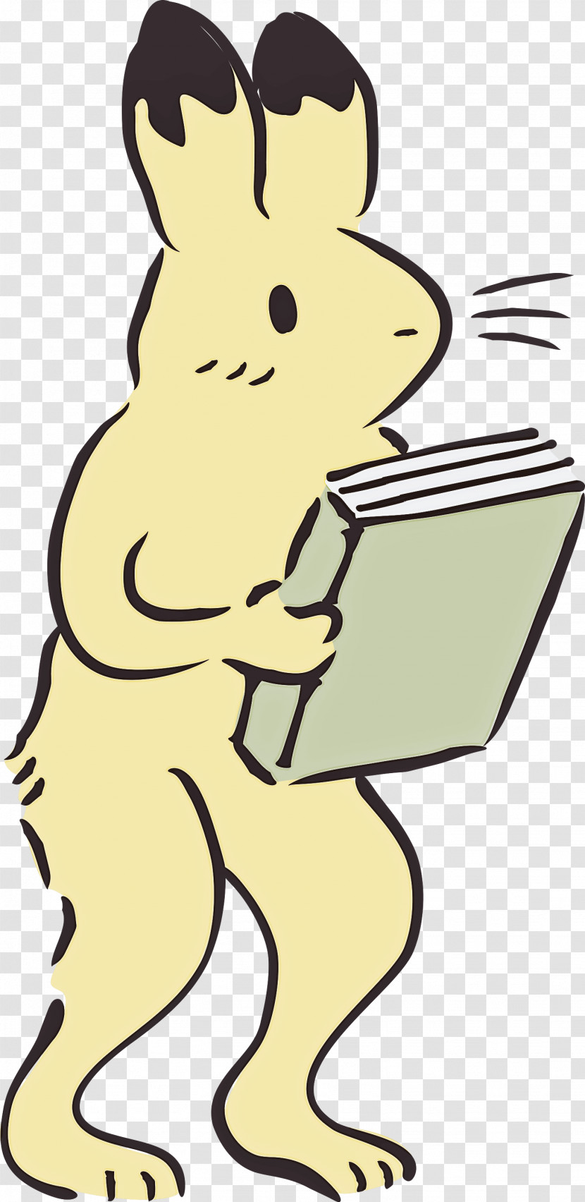 Reading Book Rabbit Transparent PNG