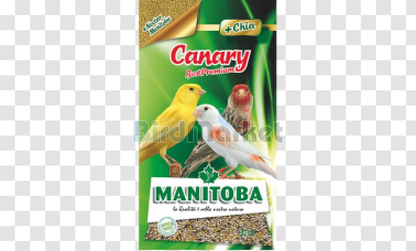 Domestic Canary Bird Food European Goldfinch Finches - Pet Shop Transparent PNG