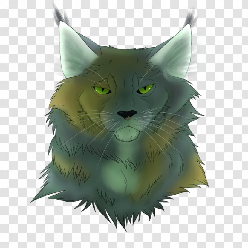 Whiskers Kitten Wildcat Snout - Cat Like Mammal Transparent PNG