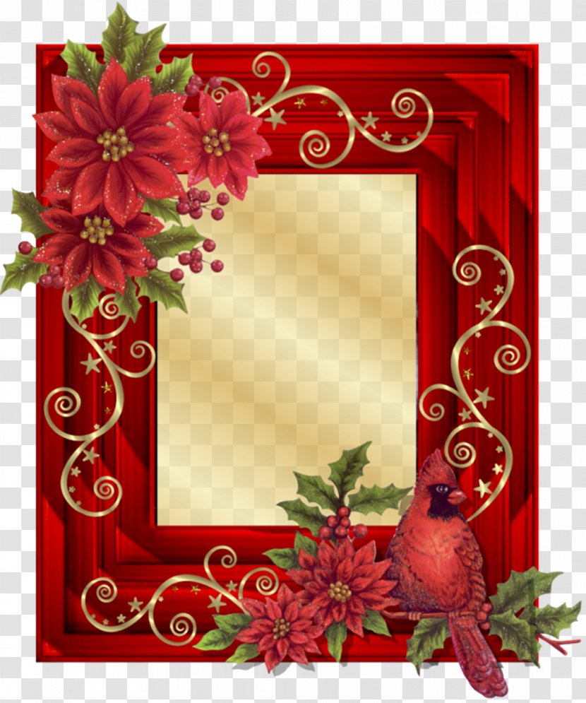 Picture Frames Borders And Craft Christmas Poinsettia - Petal - Psd Transparent PNG