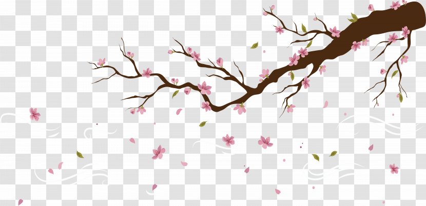 Cherry Blossom Peach Petal - Branch - Falling Petals Of Blossoms Transparent PNG