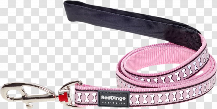 Leash Dog Collar Dingo Pet Transparent PNG