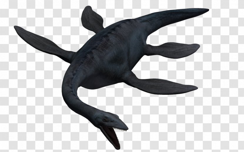 Clip Art Marine Mammal Tiger Shark Cartilaginous Fishes - Elasmosaurus Transparent PNG