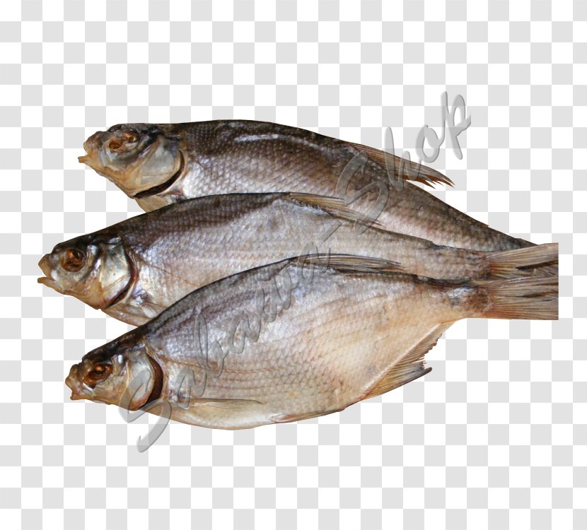 Kipper Pelecus Cultratus Fish Food Drying Zander Transparent PNG