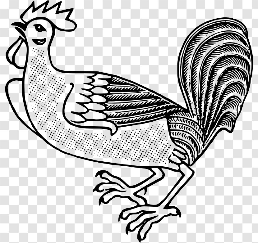 Rooster Chicken Bird Poultry Farming Clip Art - Wildlife - Big Dick Transparent PNG