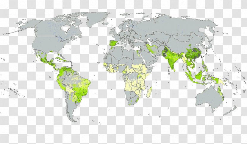 World Map Religion Glavne Svetovne Religije - Silhouette - Cassava Transparent PNG