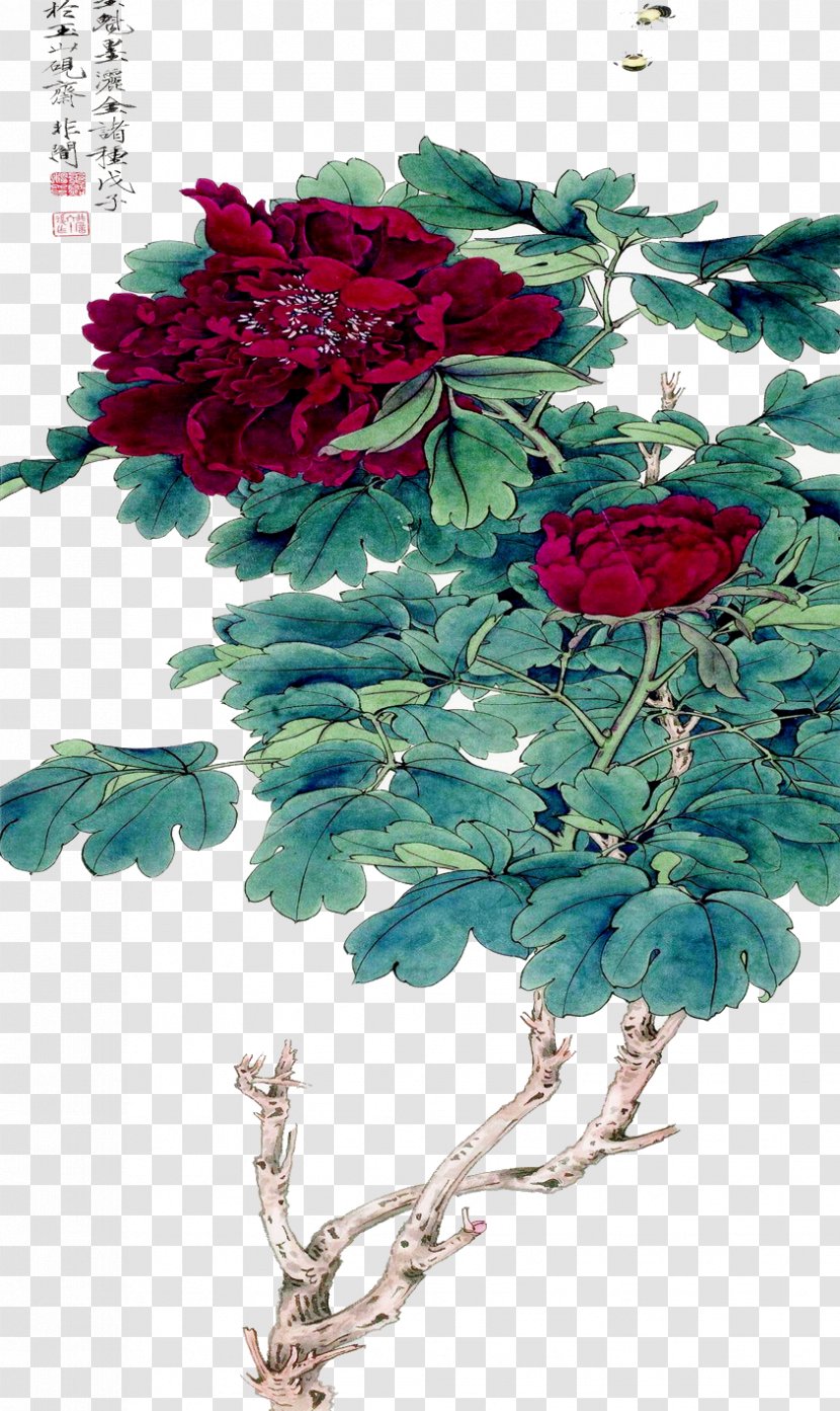 Garden Roses Centifolia Floral Design Cut Flowers - Peony Transparent PNG