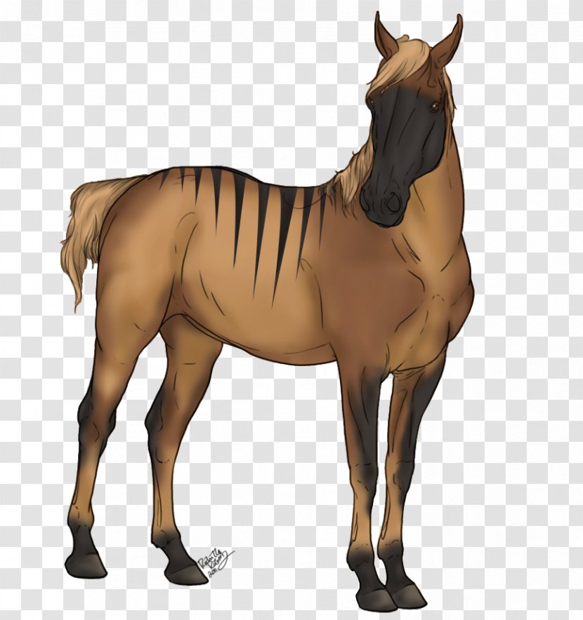 Foal Stallion Mustang Mare Rein - Quagga Transparent PNG