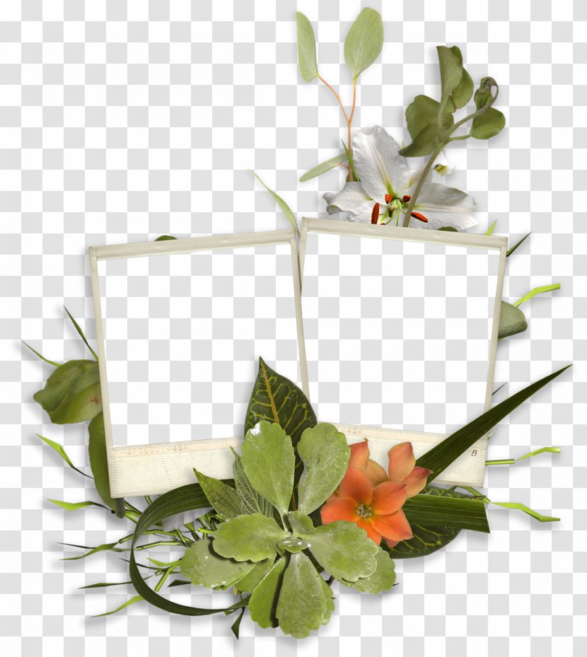Background Floral - Flowerpot - Floristry Houseplant Transparent PNG