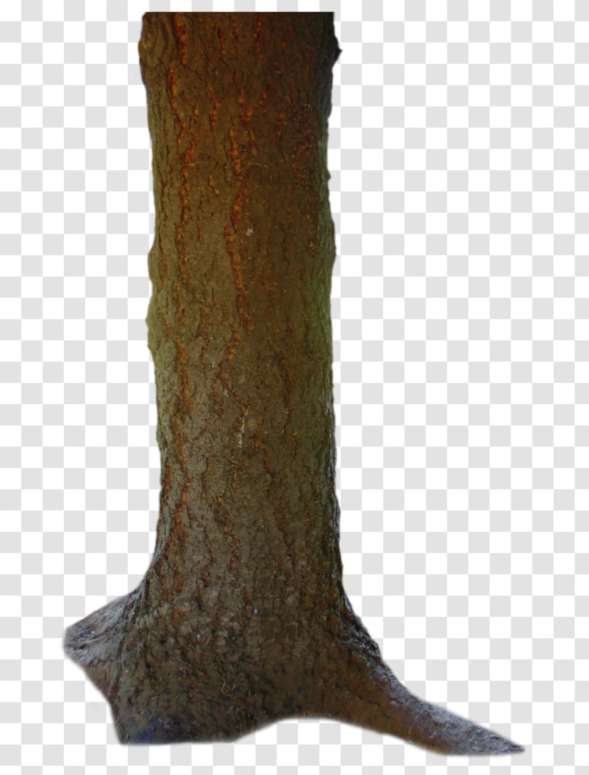Trunk Torso Tree Human Body - El Transparent PNG