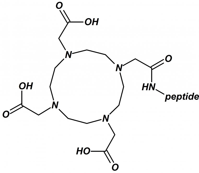 Chelation Peptide Pepscan Dota 2 Neugen Embedded Solution - Cyclotetradecaheptaene Transparent PNG