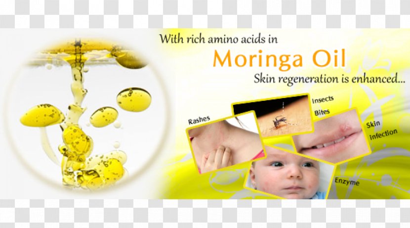 Oli Essenziali In Cucina Human Behavior Nose Brand Font - Mulberry Leaf Transparent PNG