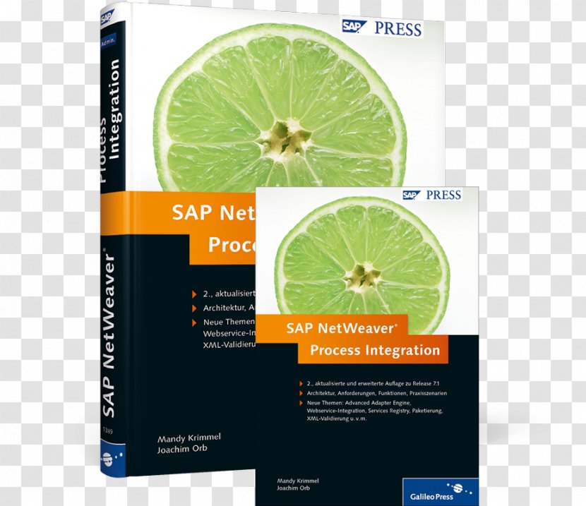 SAP NetWeaver Process Integration Datenmodellierung In BW Book Praxisleitfaden PI - Sap Netweaver Business Warehouse - AdministrationBook Transparent PNG