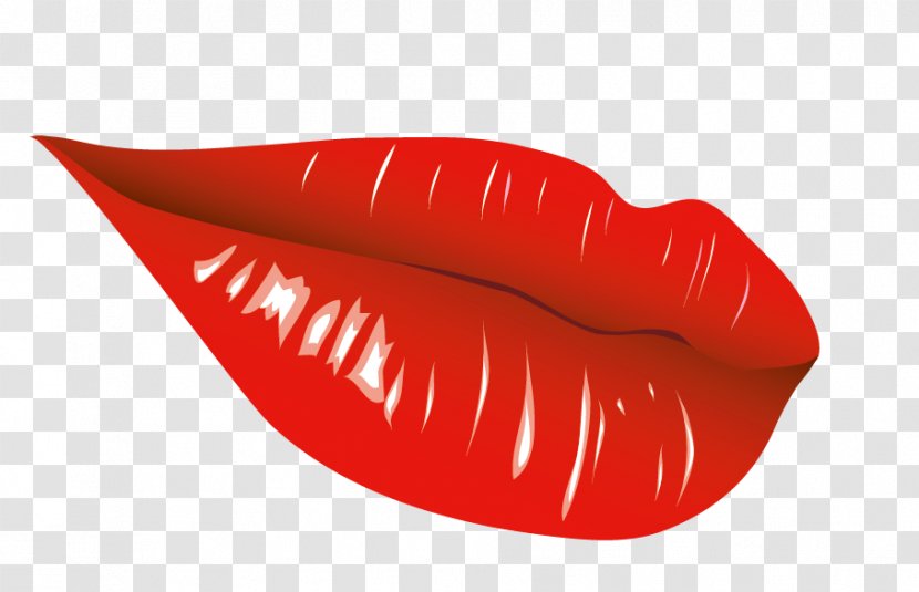 Lip Kiss Euclidean Vector - Flower - Lips Transparent PNG