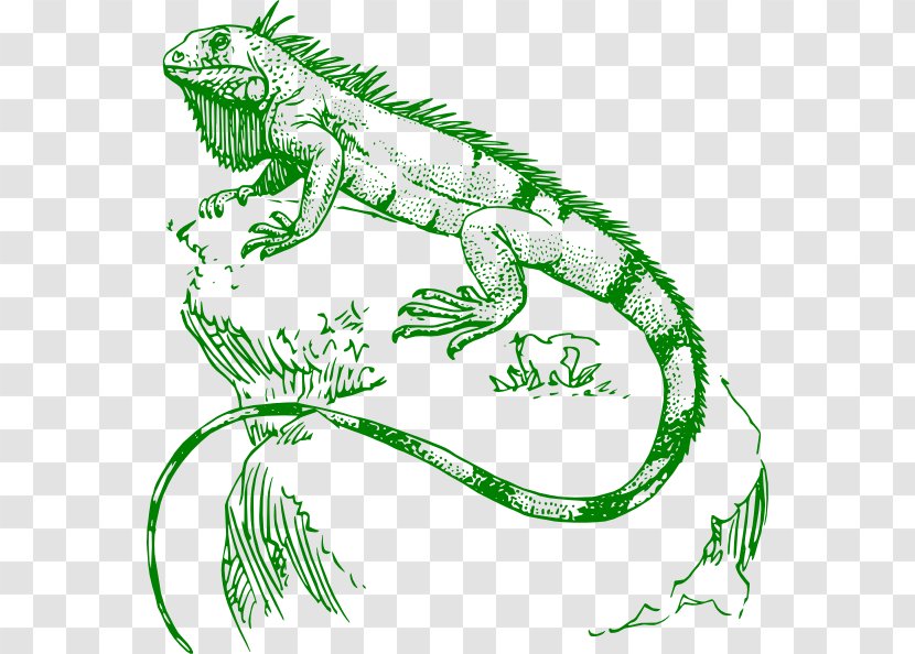 Lizard Green Iguana Reptile Chameleons Tattoo - Cartoon Pictures Transparent PNG