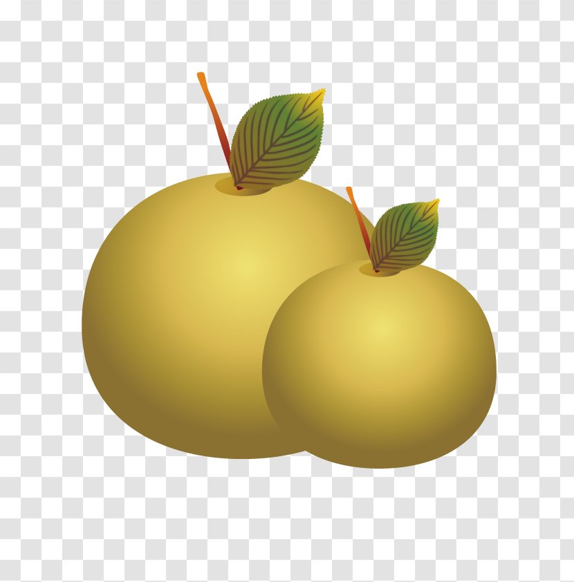 Pear - Food - Vector Pears Transparent PNG