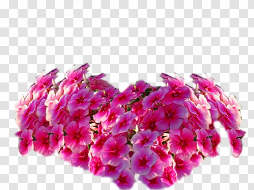 Flower Blog Petal - Wordpresscom - Flawer Transparent PNG