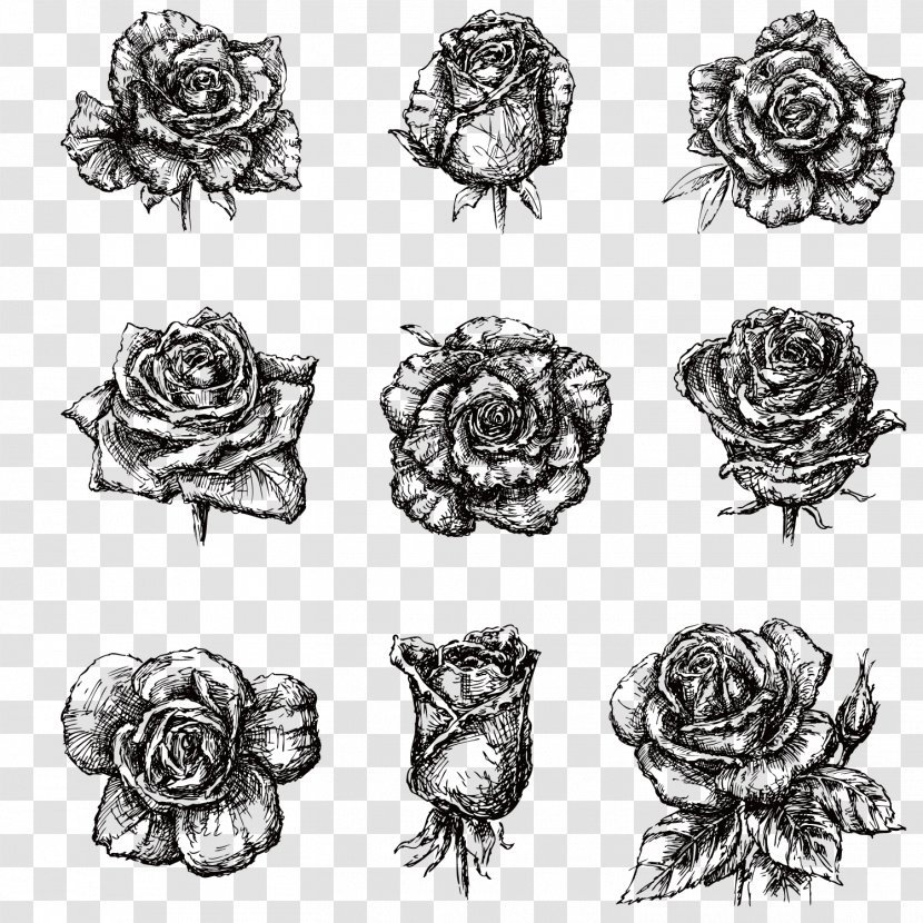 Drawing Black And White Illustration - Cartoon - Hand-painted Roses Transparent PNG