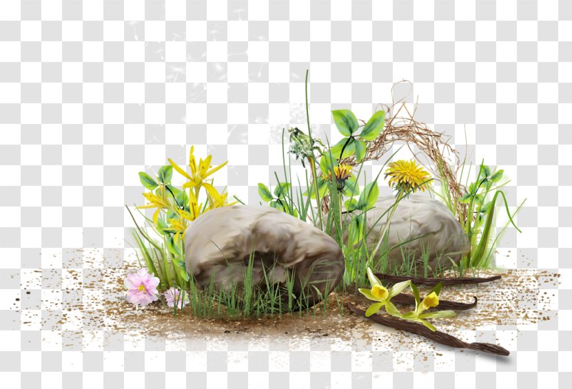 Albom Photography - Grass - Stone And Flowers Transparent PNG