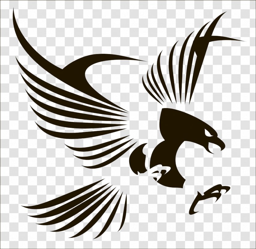 Bird Flight Eagle - Fauna - Graphic Design Transparent PNG