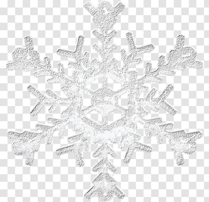 Silver Snowflake Icon - Symmetry Transparent PNG