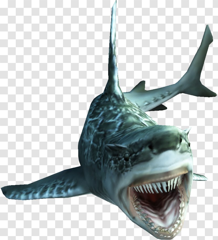 Monster Hunter Tri 4 Ultimate 3 Fish - Sharks Transparent PNG