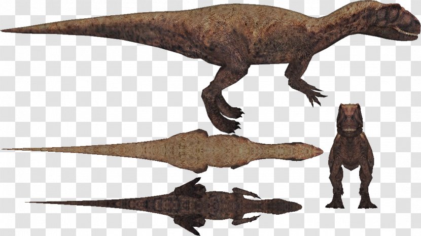 Velociraptor Eustreptospondylus Rhamphorhynchus Meat-Eating Dinosaurs - Zoo Tycoon 2 - Dinosaur Transparent PNG
