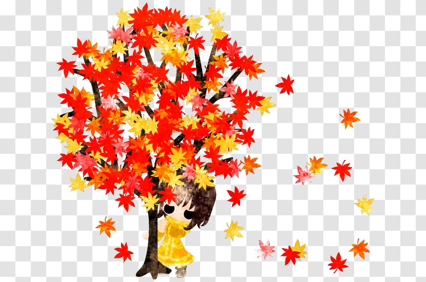 Autumn Stock Illustration Vector Graphics Photography - Tree Transparent PNG