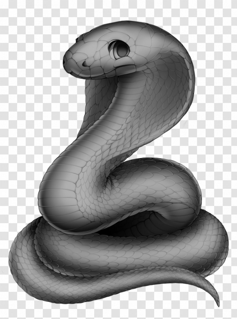 Snake Reptile Grayscale Wikia - Furry Fandom Transparent PNG