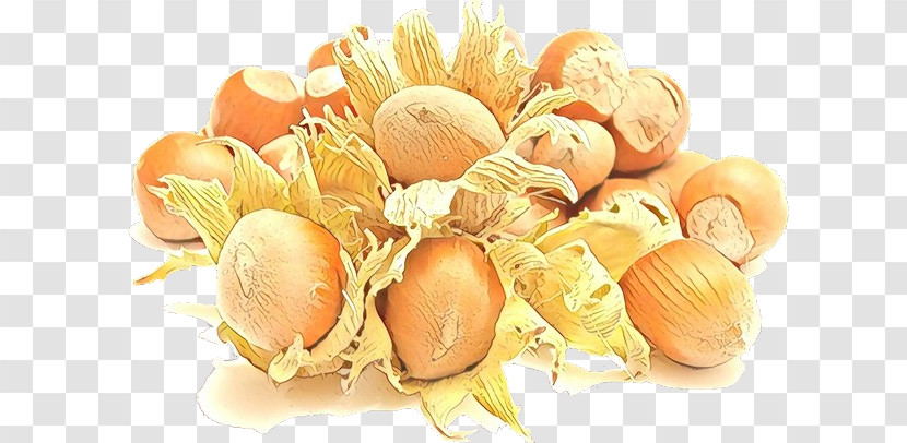 Hazelnut Food Shallot Plant Vegetable Transparent PNG