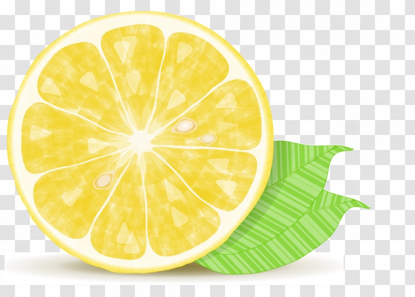 Lemonade Lemon Drop Chicken - Orange - Vector Yellow Transparent PNG