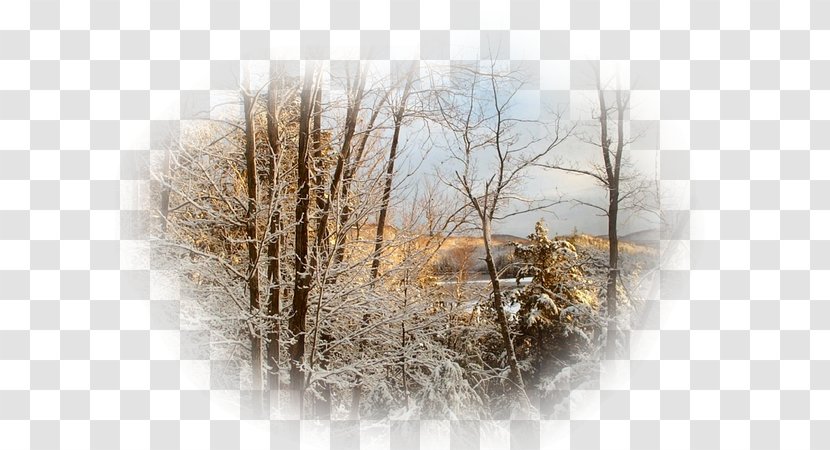 Desktop Wallpaper Stock Photography Wood /m/083vt - Winter Scene Transparent PNG