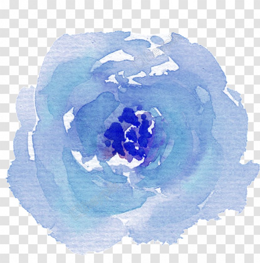 Blue Rose Watercolor Painting Watercolor: Flowers - Order Transparent PNG