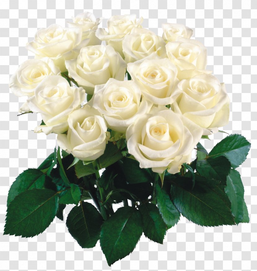 Desktop Wallpaper Flower Bouquet Rose - Petal - White Transparent PNG