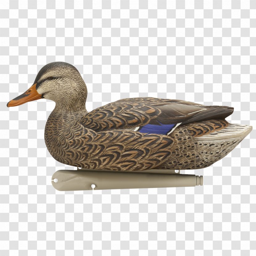 Mallard Duck Decoy Goose - Beak Transparent PNG